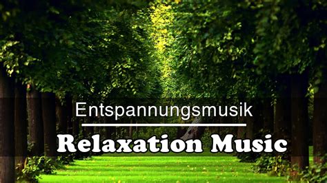 entspannungs musik|Entspannungsmusik